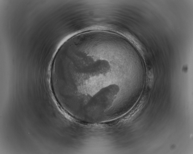 X0000098170862200804241154