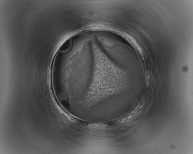 X0000098170863200804241154