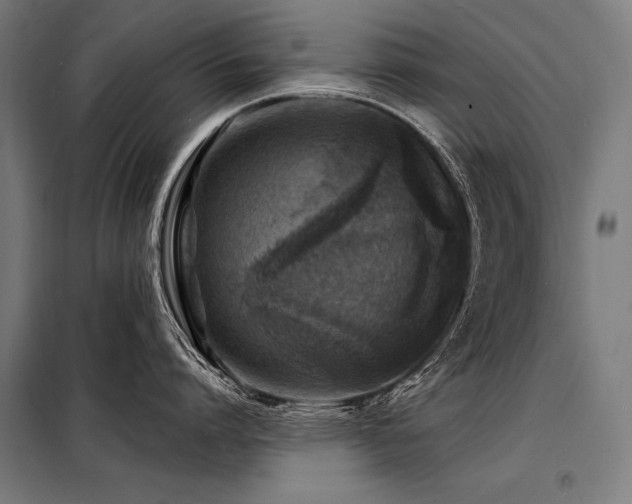 X0000098170864200804241154