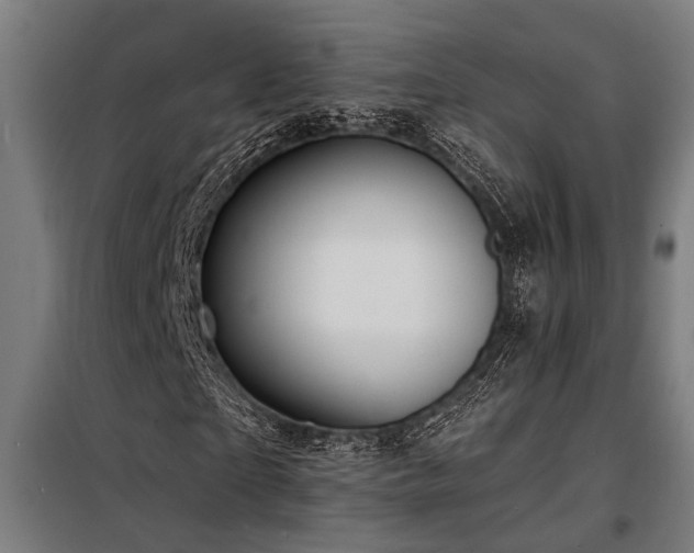 X0000098170865200804241153