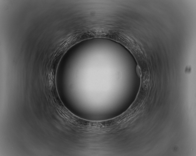 X0000098170866200804241153