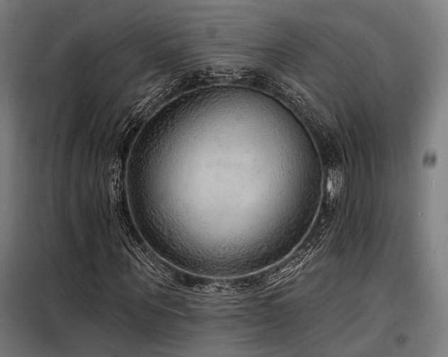 X0000098170867200804241153