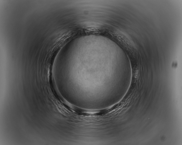 X0000098170868200804241153