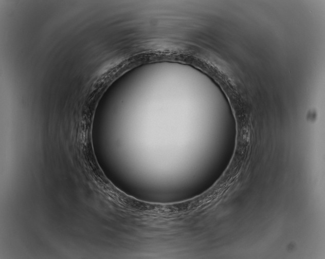 X0000098170869200804241153