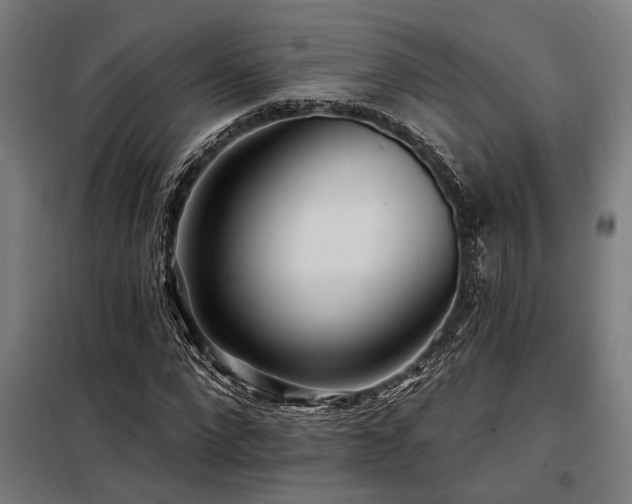 X0000098170872200804241153