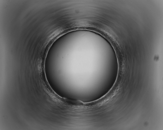 X0000098170873200804241153