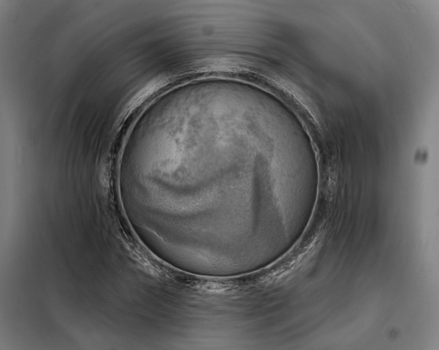 X0000098170874200804241153