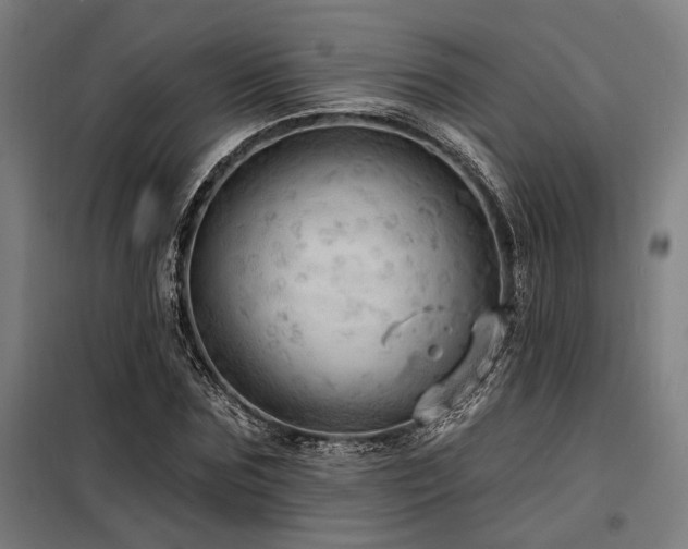 X0000098170875200804241153