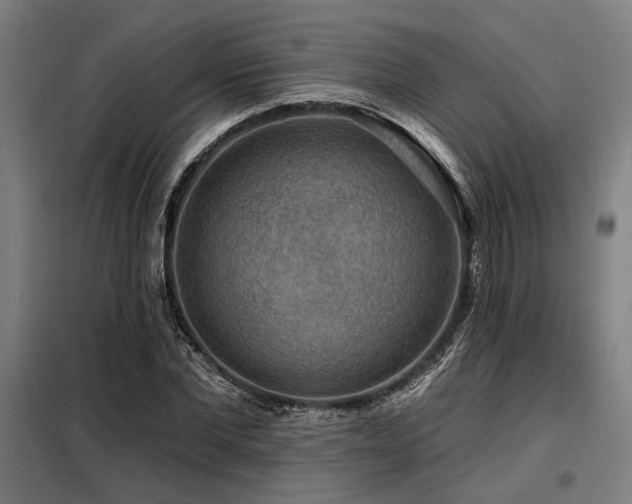 X0000098170877200804241153