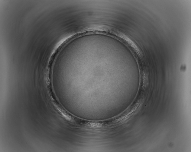 X0000098170878200804241153