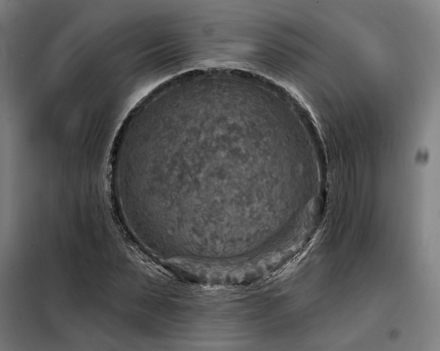 X0000098170879200804241153