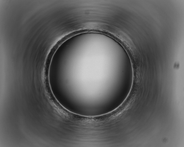 X0000098170880200804241153