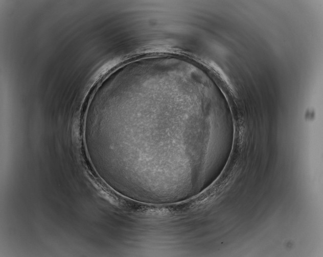 X0000098170882200804241153