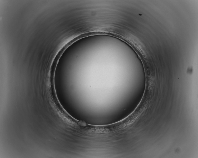 X0000098170884200804241153