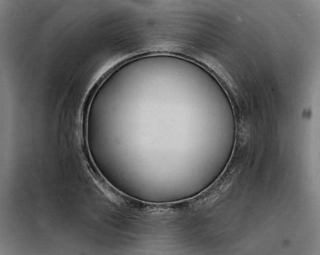 X0000098170886200804241153