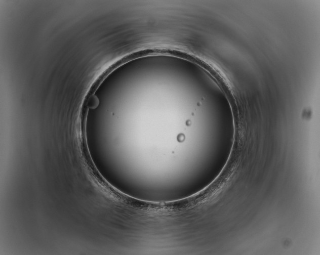 X0000098170887200804241153