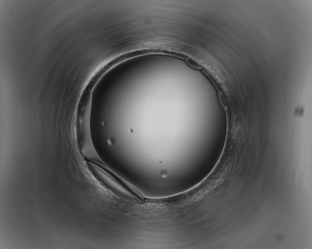 X0000098170888200804241153