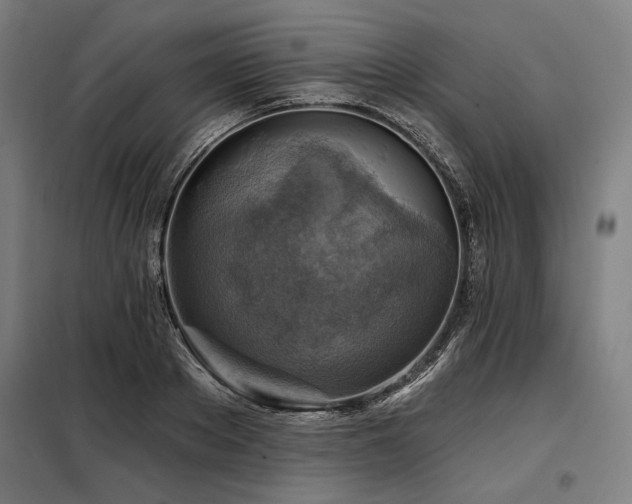 X0000098170889200804241153