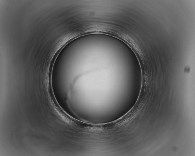 X0000098170890200804241153