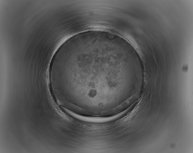 X0000098170891200804241153