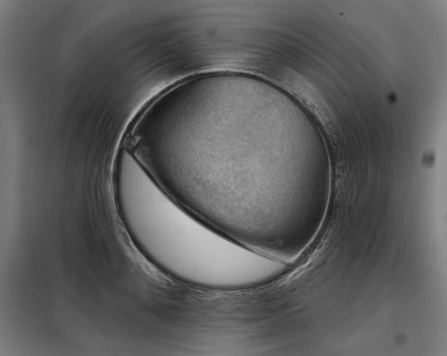 X0000098170892200804241153