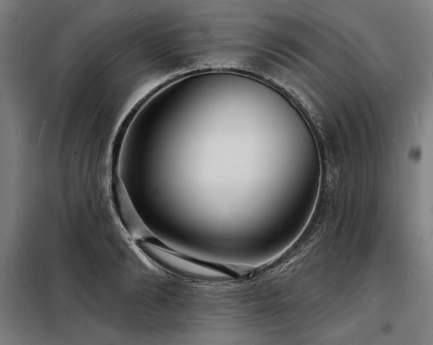 X0000098170894200804241153