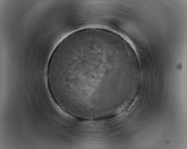 X0000098170895200804241153