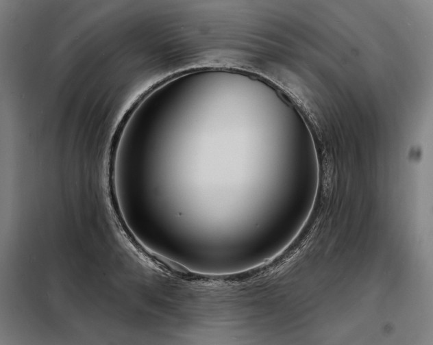 X0000098170896200804241153