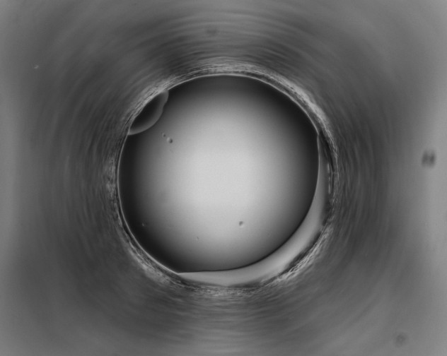 X0000098170897200804241153