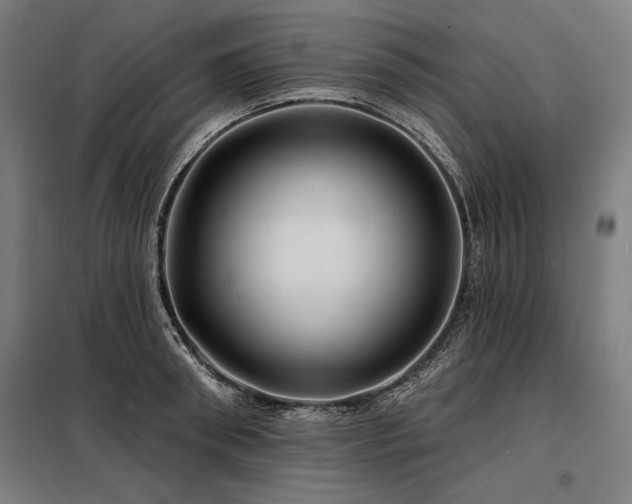 X0000098170898200804241153