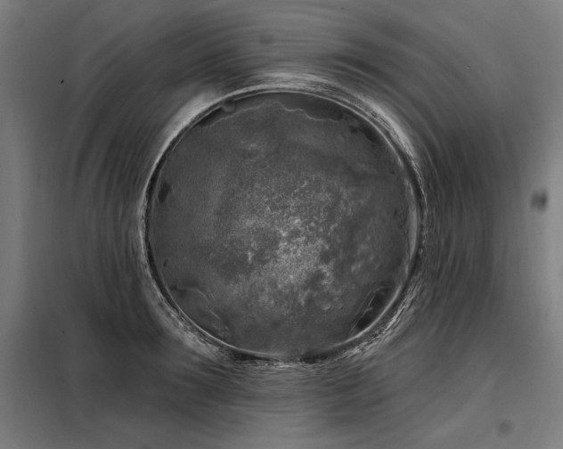 X0000098170899200804241153