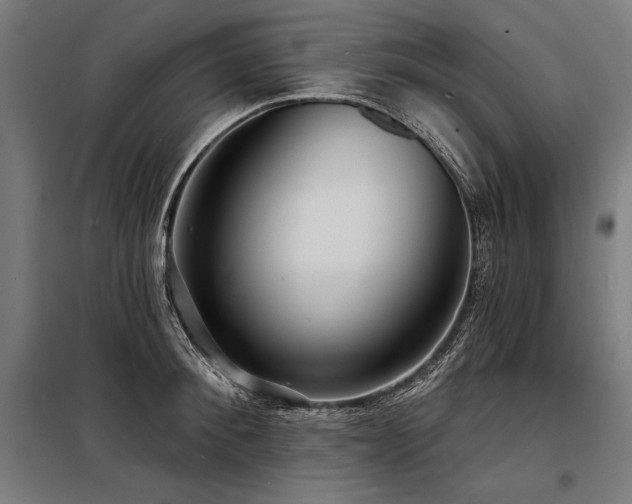 X0000098170900200804241153