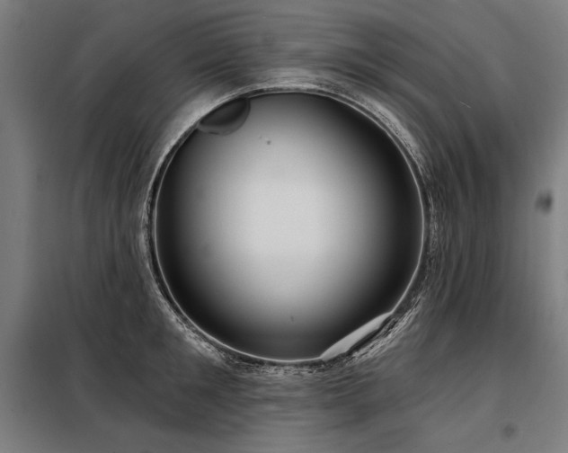 X0000098170901200804241153