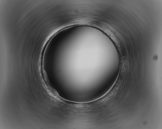 X0000098170904200804241153