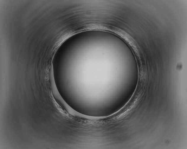 X0000098170905200804241153