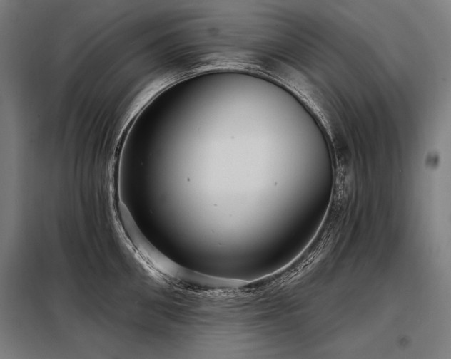 X0000098170906200804241153