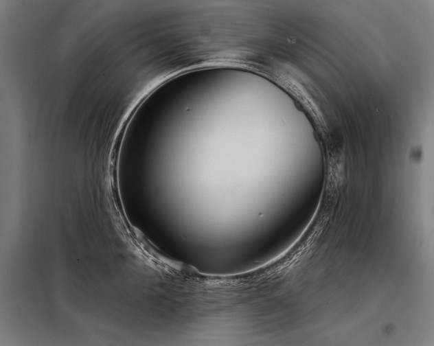 X0000098170908200804241153