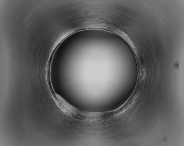 X0000098170909200804241153