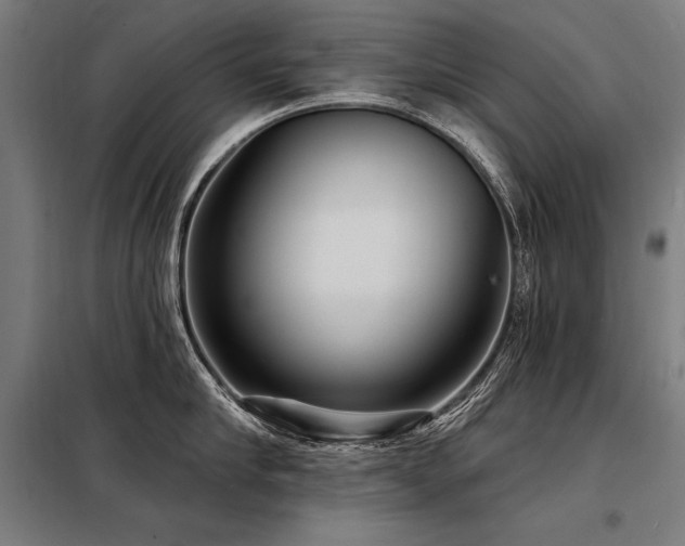 X0000098170910200804241153