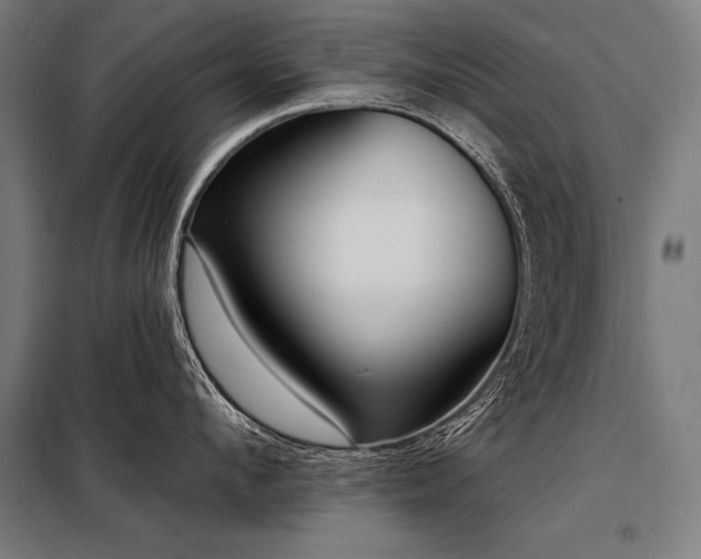 X0000098170912200804241153