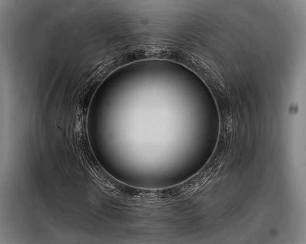 X0000098170914200804241152