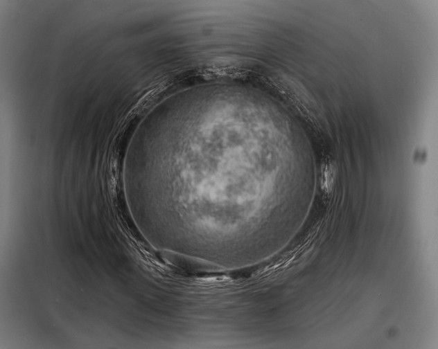 X0000098170915200804241152