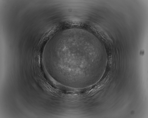 X0000098170916200804241152