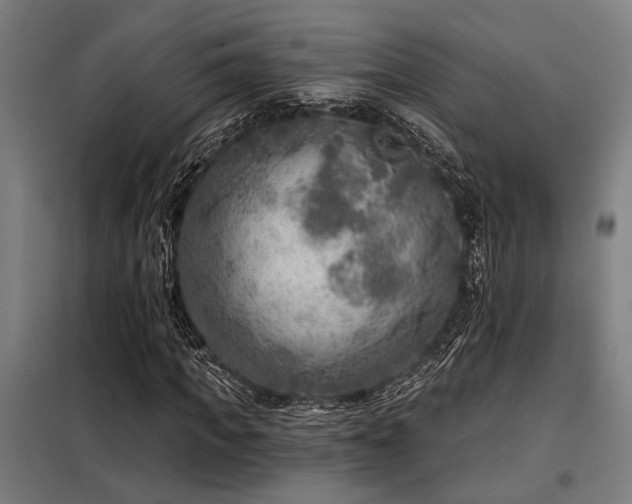 X0000098170917200804241152