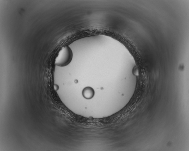 X0000098170918200804241152