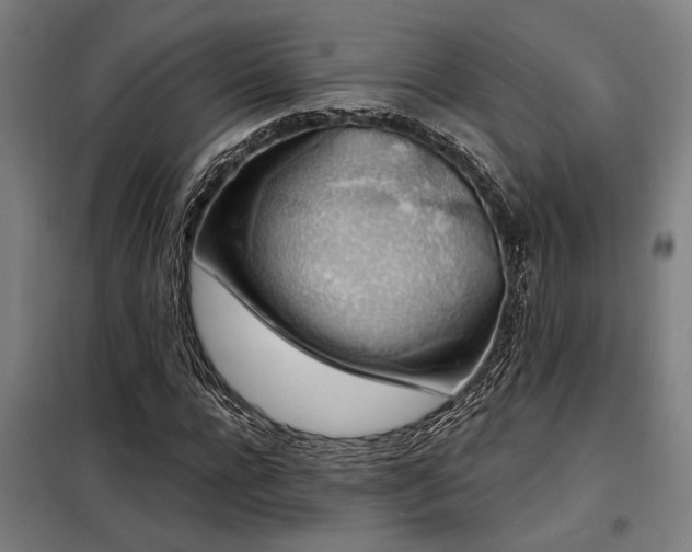 X0000098170920200804241152