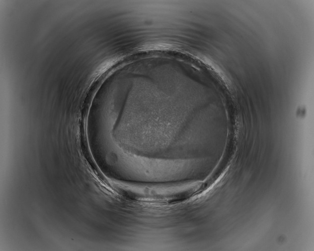 X0000098170921200804241152