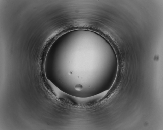 X0000098170922200804241152