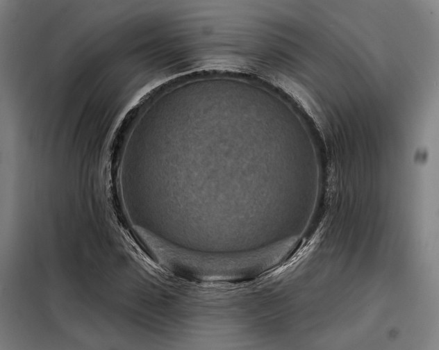 X0000098170923200804241152