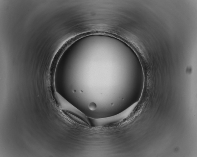 X0000098170924200804241152